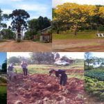 Día de la enseñanza Agropecuaria | Feliz día IEAE N°3